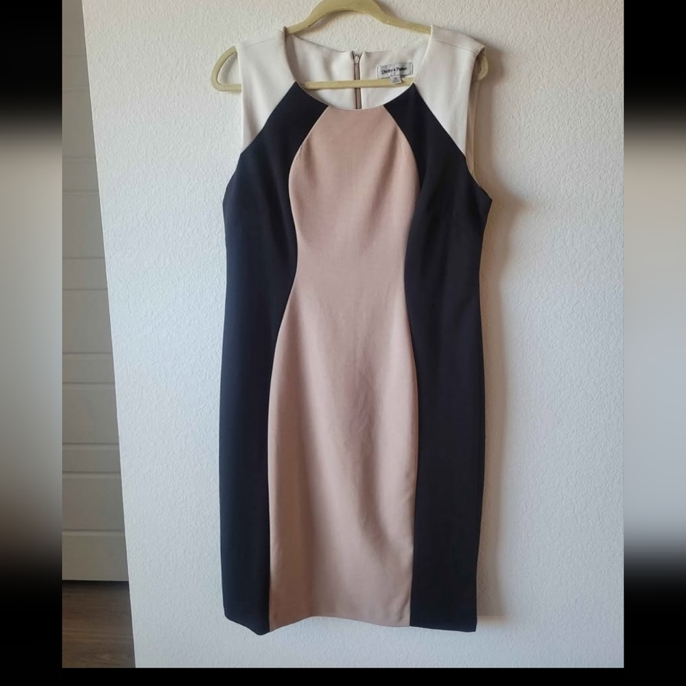 Shelby & Palmer Black, Cream, and Tan Fitted Body Con Dress